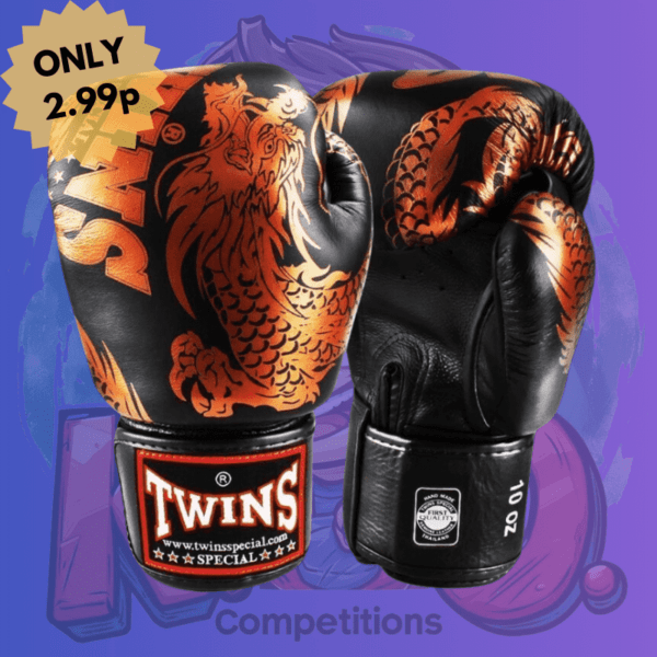 Twins Boxing Gloves