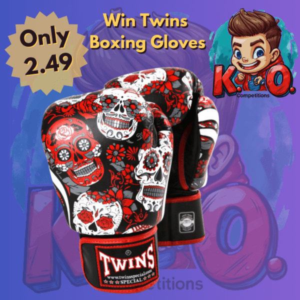 Twins boxing gloves/£130