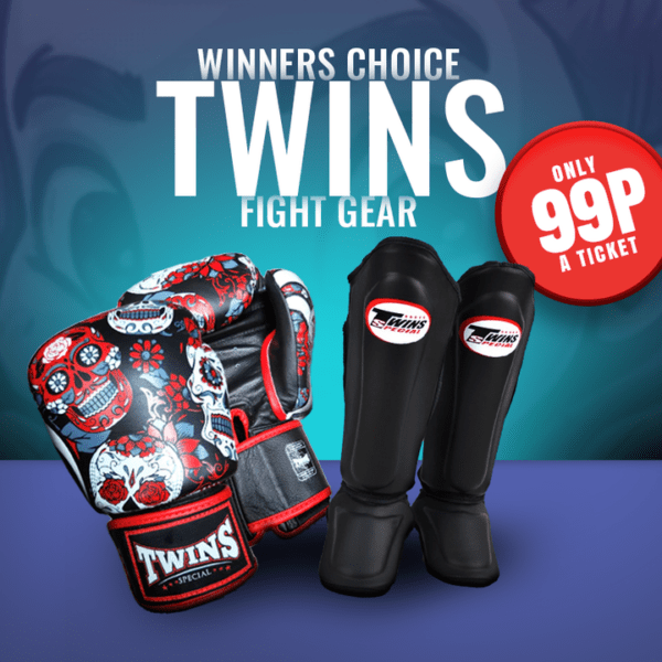 Winners Choice Twins Boxing Gloves Shinguards or £100 /9